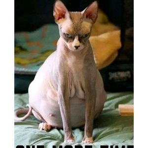 Meet your Posher, Ernestine